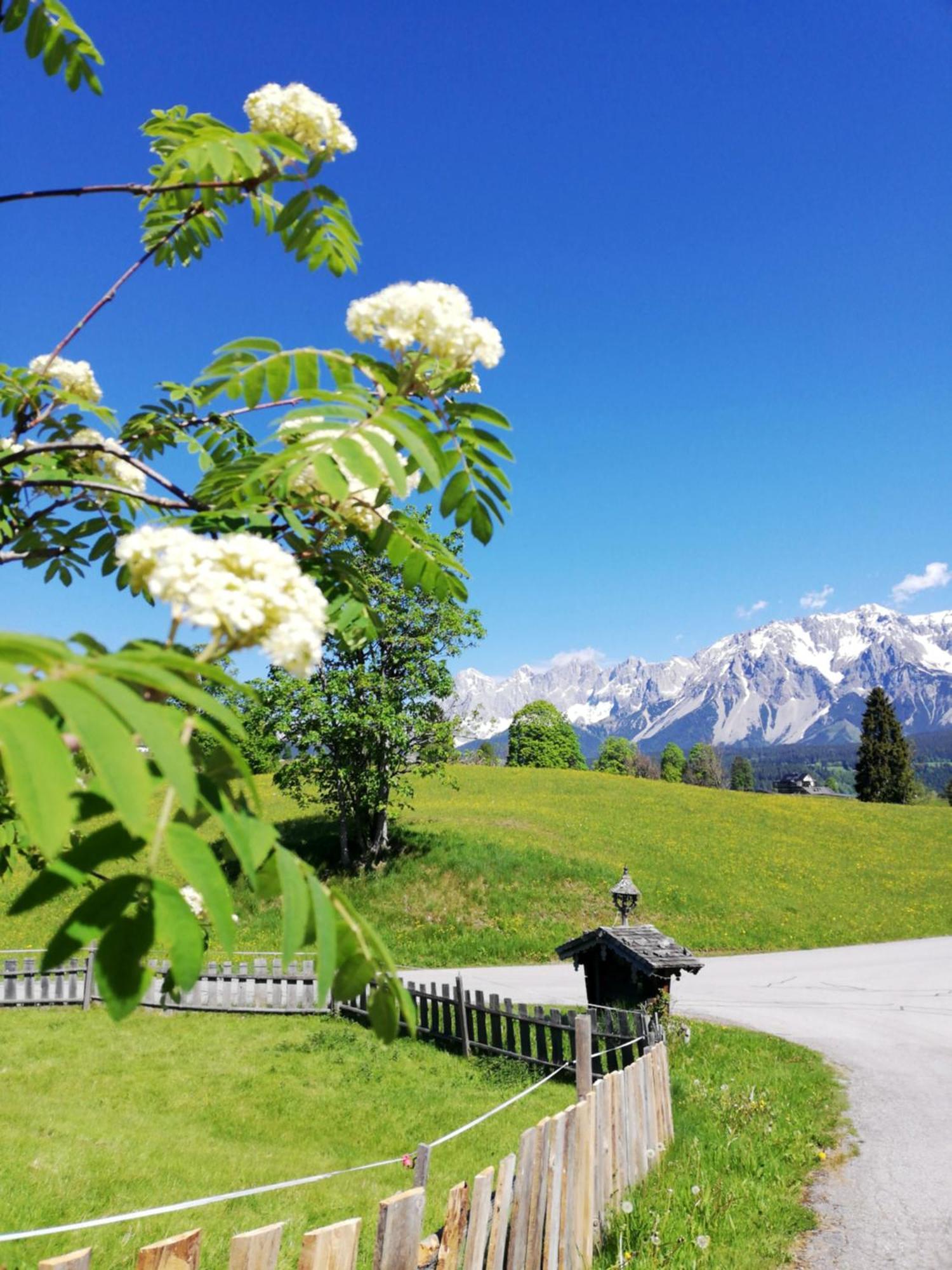 Pension Stammerhof シュラートミンク エクステリア 写真