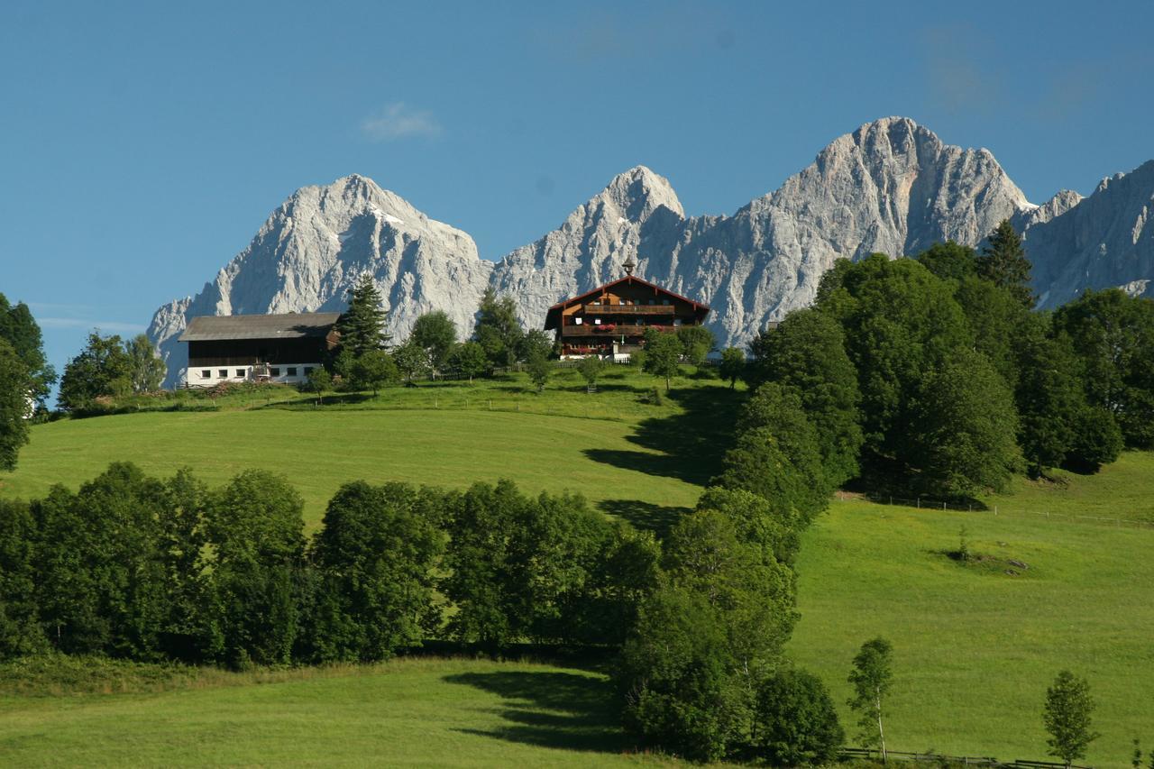 Pension Stammerhof シュラートミンク エクステリア 写真