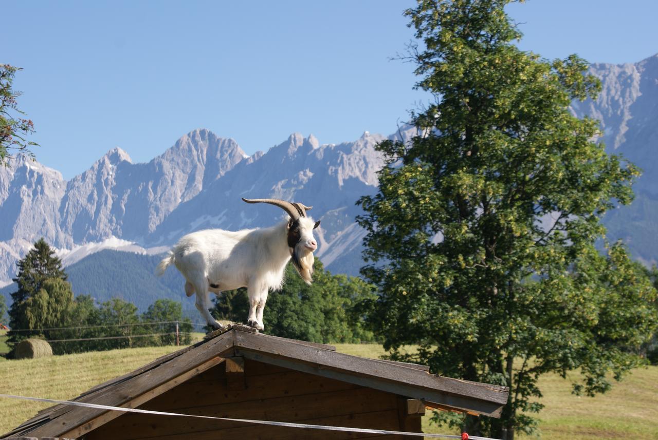 Pension Stammerhof シュラートミンク エクステリア 写真
